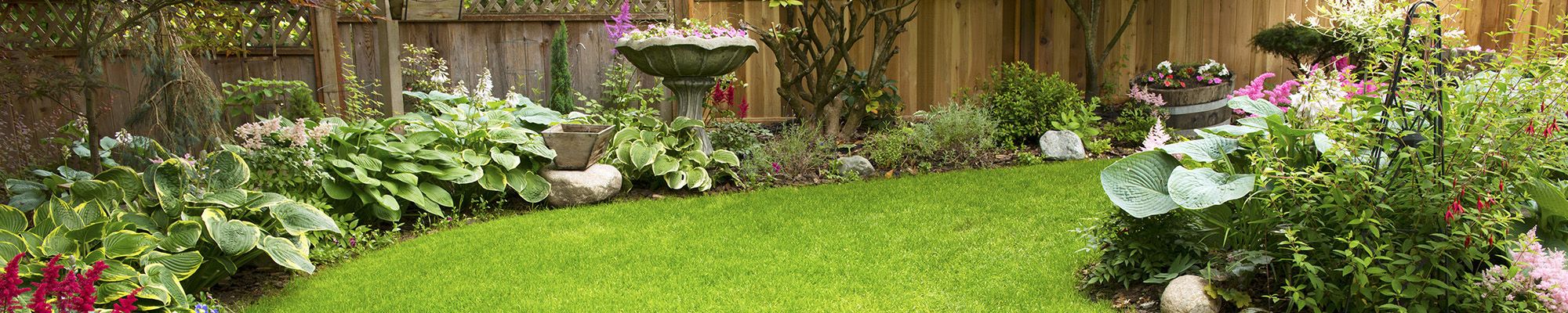 Contact Daniel Scanlan Garden Services