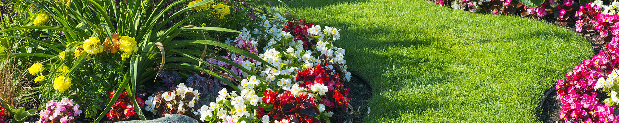 Garden Services Beeston
