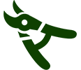 Pruning