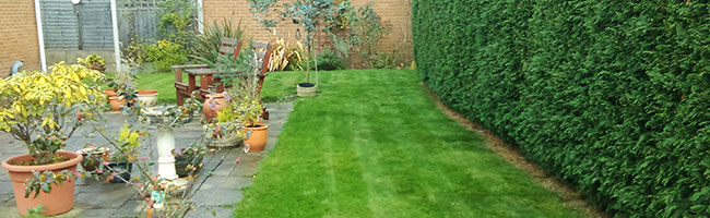 Garden Maintenance